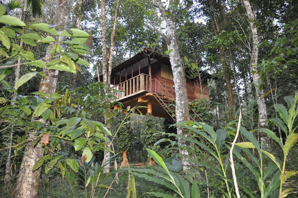 Krishnagiri Sunbird Garden Resort الغرفة الصورة