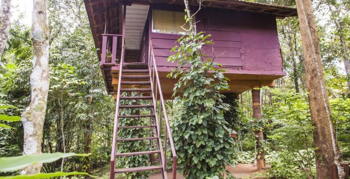 Krishnagiri Sunbird Garden Resort المظهر الخارجي الصورة